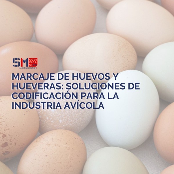 Marcaje de huevos y hueveras: soluciones de codificación para la industria avícola
