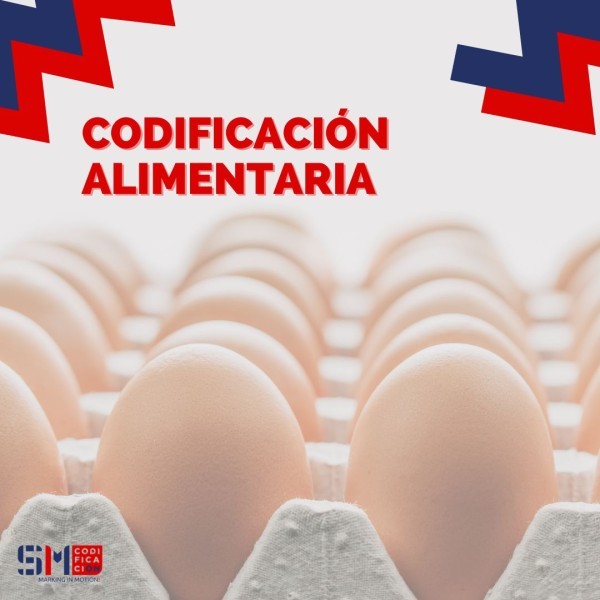 Todo lo que Necesitas Saber Sobre la Codificación Alimentaria