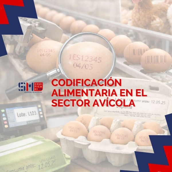 Codificación alimentaria en el sector avícola: trazabilidad, normativa y valor para el mercado